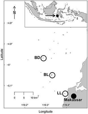 Bacterial Biofilm Communities and Coral Larvae Settlement at Different Levels of Anthropogenic Impact in the Spermonde Archipelago, Indonesia